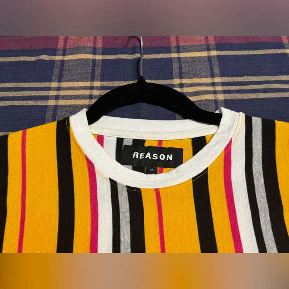 Mens Reason Striped Bear Tee - Picture 5 of 9